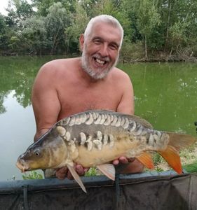 Mirror Carp
