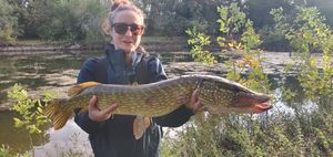 Northern Pike