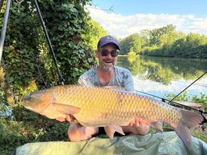 Grass Carp
