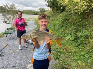 Common Carp