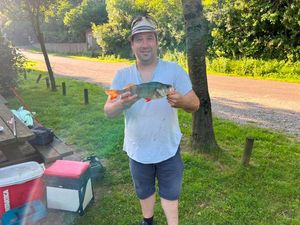 European Perch