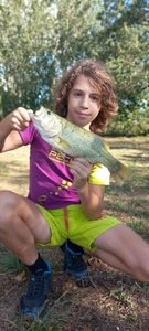 Largemouth Bass