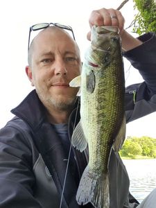 Largemouth Bass