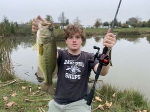 Largemouth Bass
