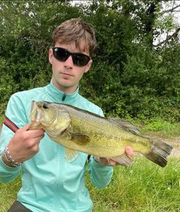 Largemouth Bass