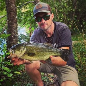 Largemouth Bass
