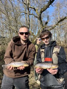 Rainbow Trout