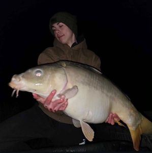 Mirror Carp