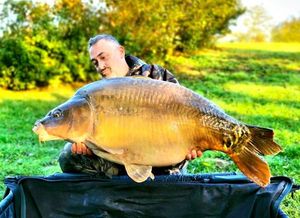Mirror Carp