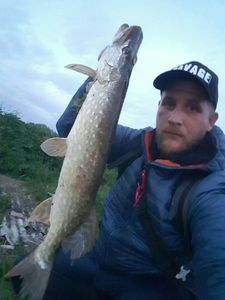 Northern Pike