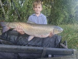 Grass Carp