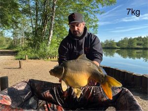 Mirror Carp