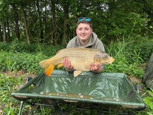 Common Carp
