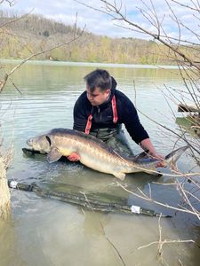Sturgeon