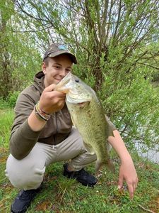 Smallmouth Bass