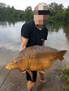 Leather Carp