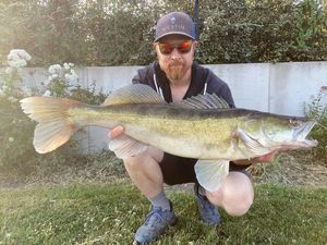 Zander
