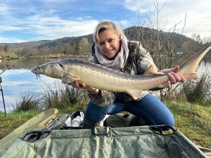Sturgeon