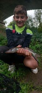 Northern Pike