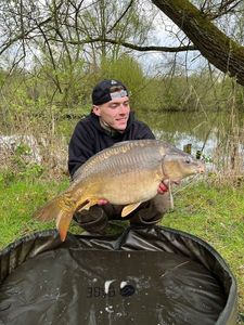 Mirror Carp