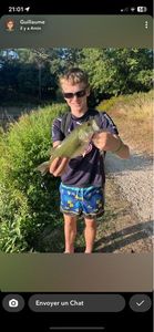 Largemouth Bass