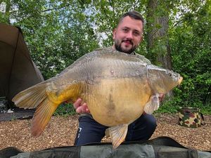 Mirror Carp