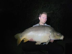 Mirror Carp