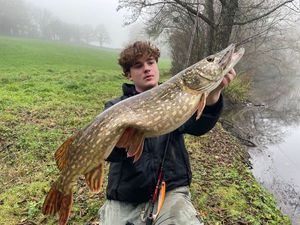 Northern Pike