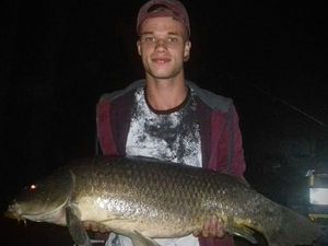 Common Carp