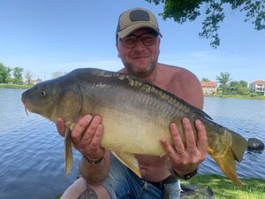 Mirror Carp