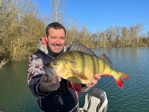European Perch