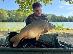 Mirror Carp