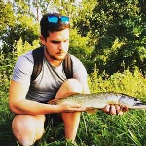 Northern Pike