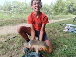 Mirror Carp
