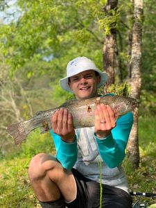 Rainbow Trout