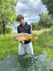 Mirror Carp