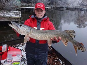 Northern Pike