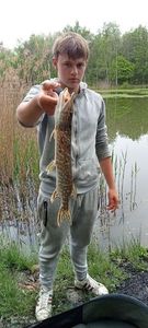 Northern Pike
