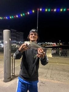 European Bass (Seabass)
