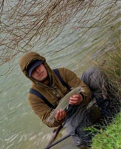 Rainbow Trout