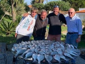Black Seabream