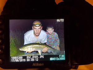 Grass Carp