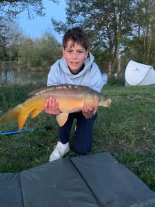 Mirror Carp