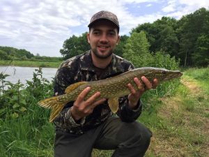 Northern Pike