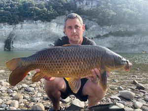 Common Carp