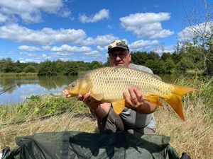 Common Carp