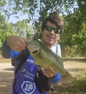 Largemouth Bass