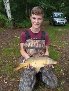 Mirror Carp