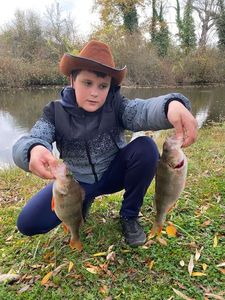 European Perch