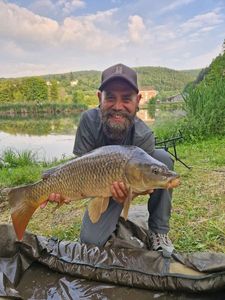 Common Carp
